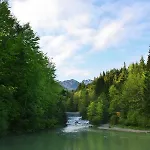 Apfelbluete * Bad Feilnbach