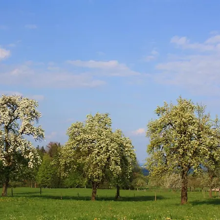 Apartamento Apfelblüte *