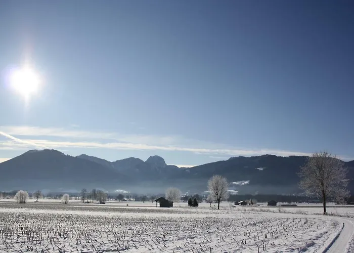 Apfelbluete * Bad Feilnbach