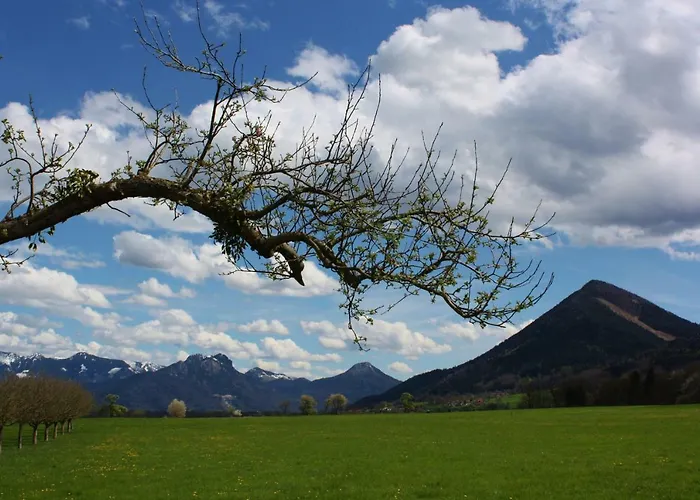 Apfelbluete * Bad Feilnbach
